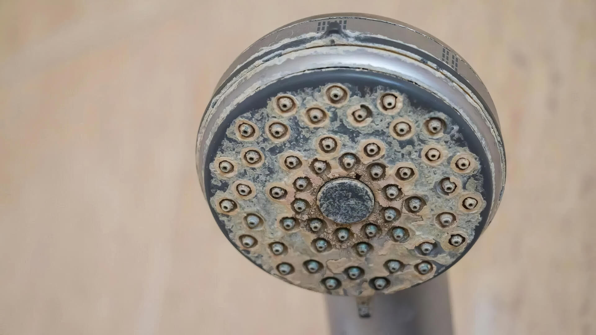 Can a blocked drain cause leaks? ‐ Petersham Plumbing Services